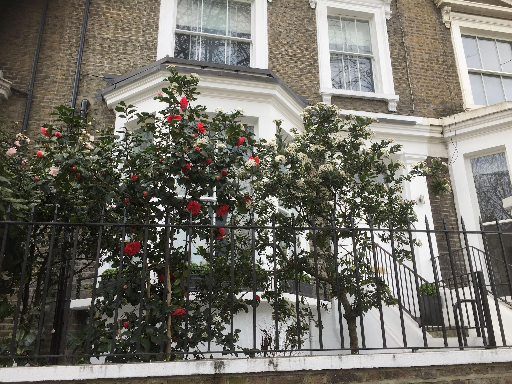 Apartament Luxurious In Kensington & Chelsea Londra